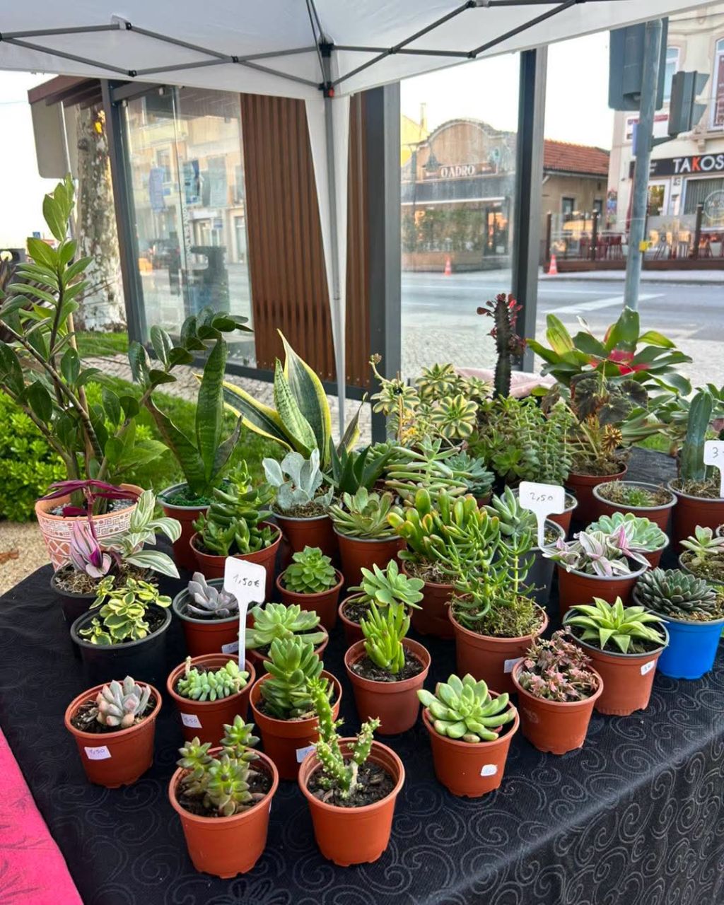 Image 5 from the gallery of Monthly Craft Market